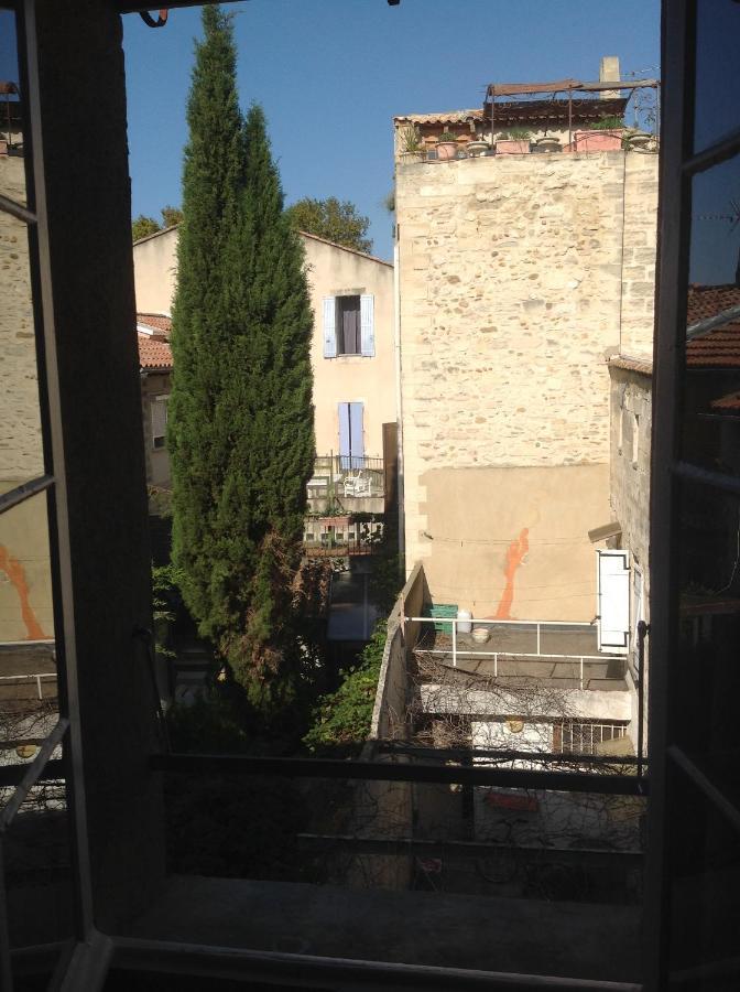 Charmant Studio Coeur Centre Apartment Avignon